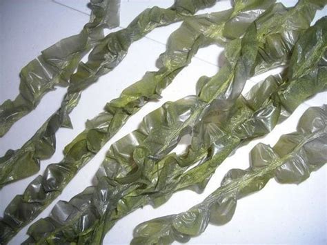 fake seaweed from trash bags|seaweed for pirate display.